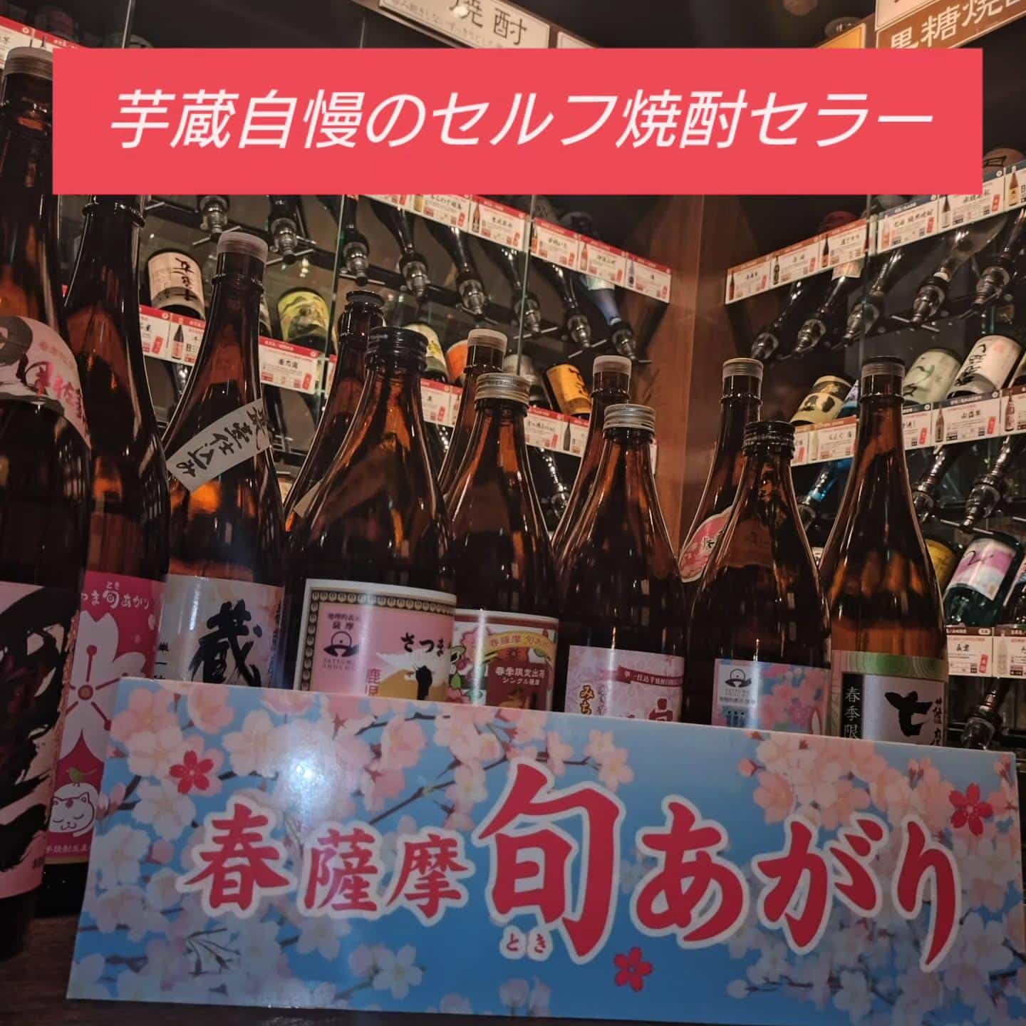 芋蔵自慢のセルフ焼酎セラー【渋谷居酒屋/渋谷もつ鍋/渋谷焼酎/渋谷餃子/渋谷新年会/渋谷接待/女子会/渋谷しゃぶしゃぶ/…