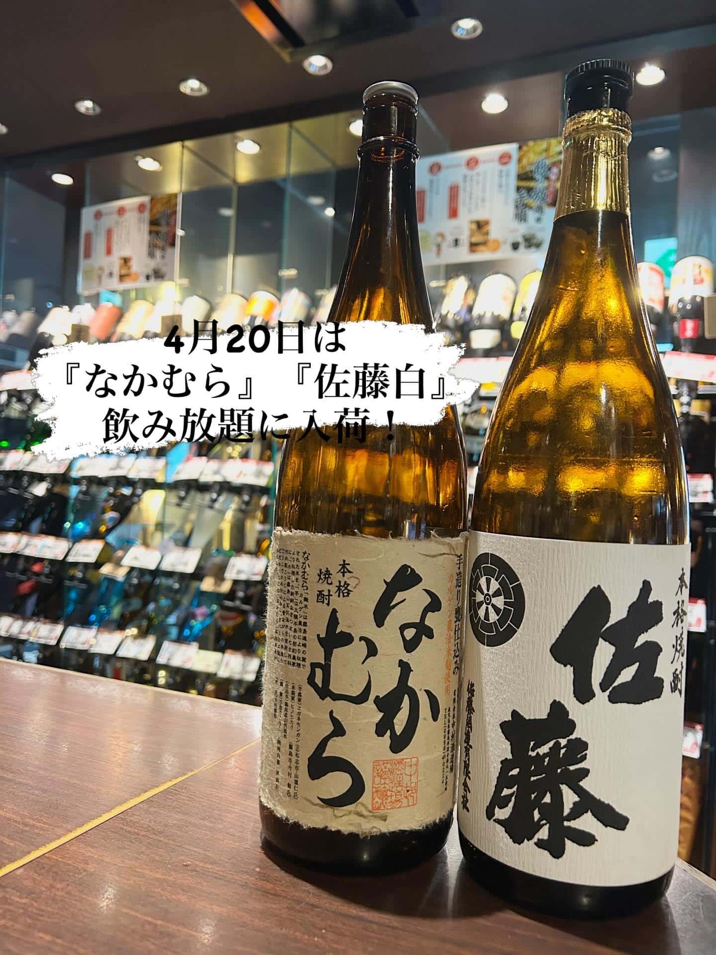 芋蔵蒲田【4月20日/なかむら/佐藤白/飲み放題/ラインナップ/新生活応援フェア】
