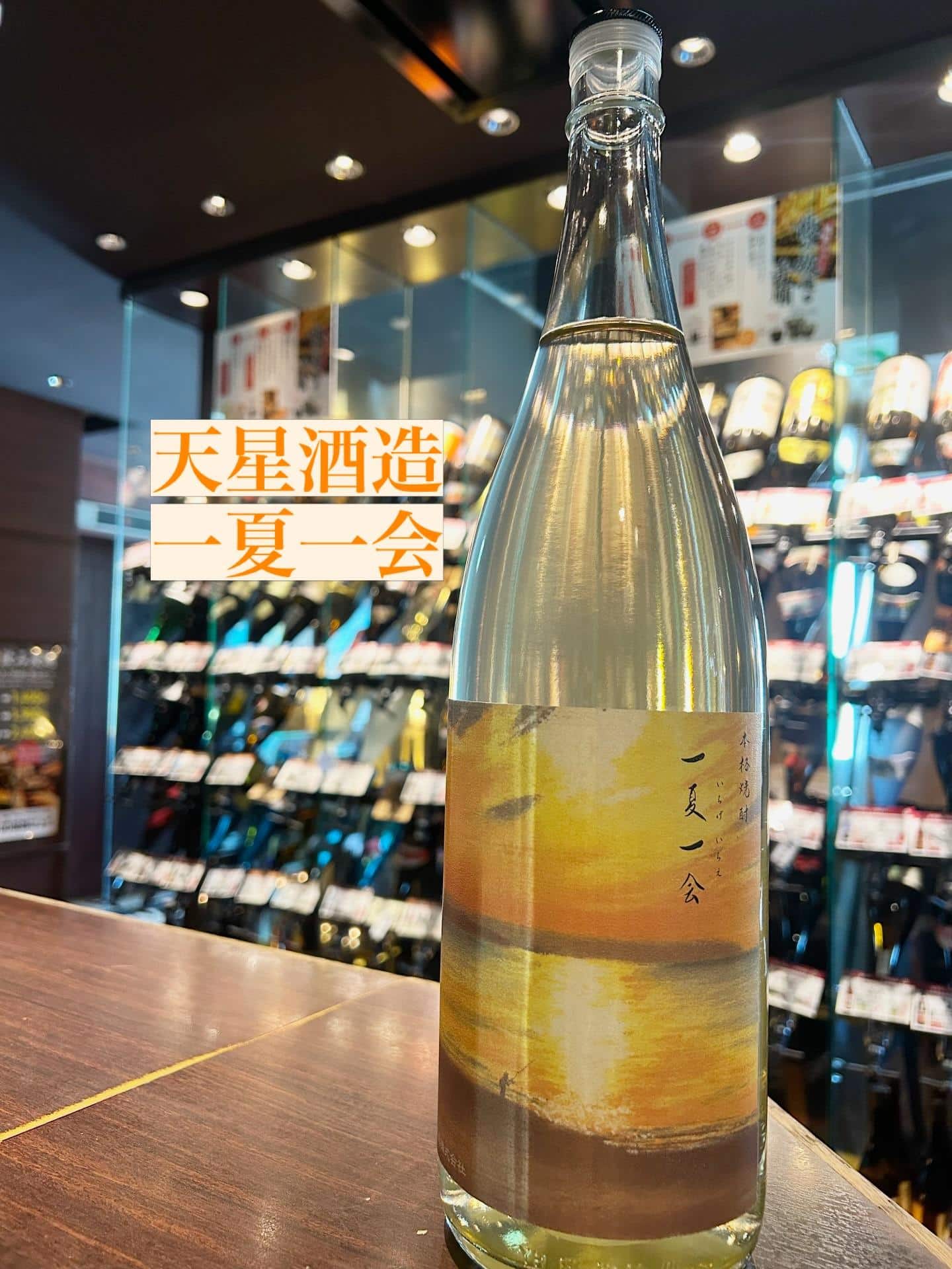 芋蔵蒲田【夏焼酎/入荷/天星酒造/一夏一会/いちげいちえ/飲み放題/ラインナップ】