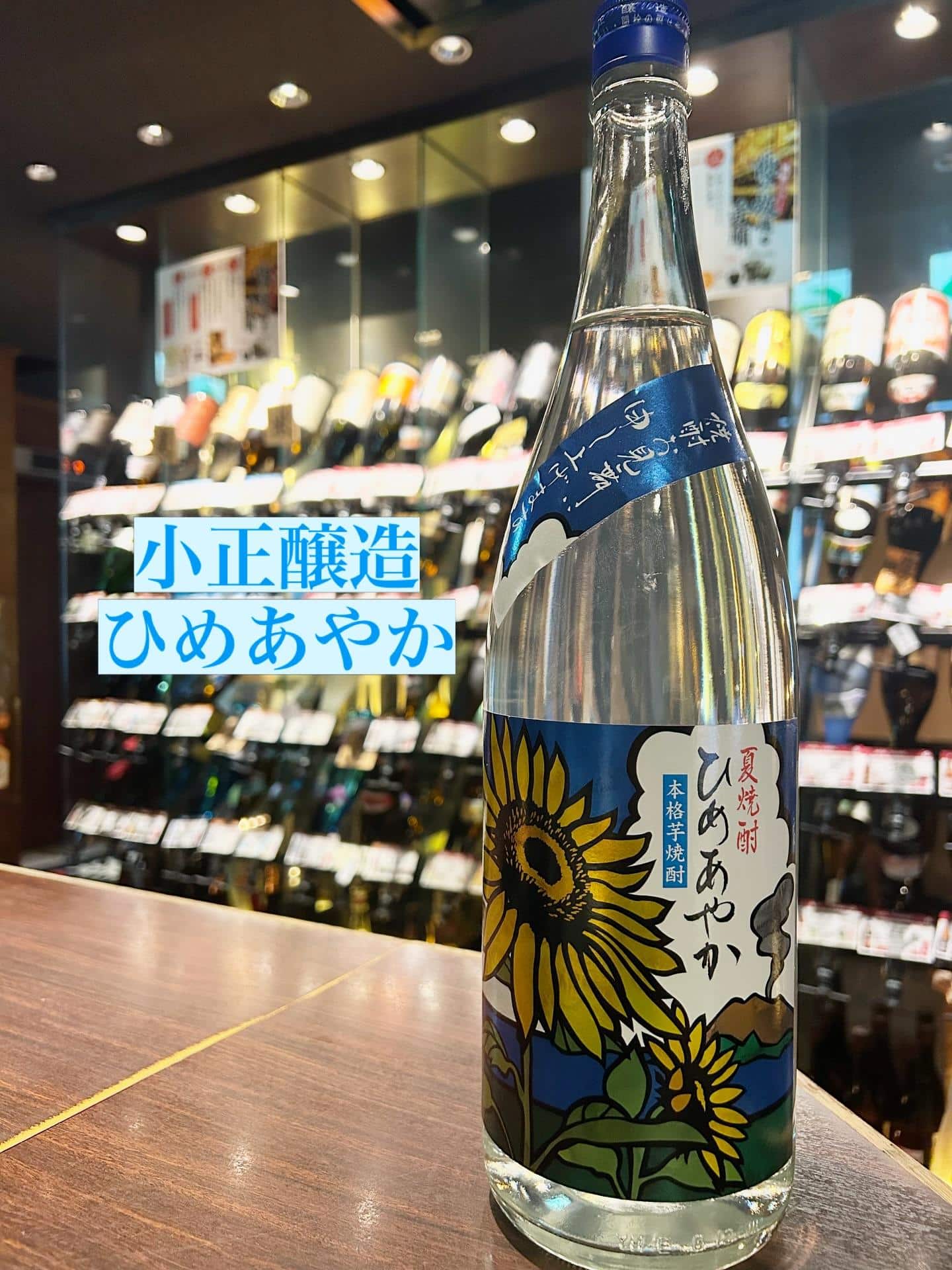 芋蔵蒲田【夏焼酎/入荷/小正醸造/ひめあやか/焼酎お見舞い申し上げます】
