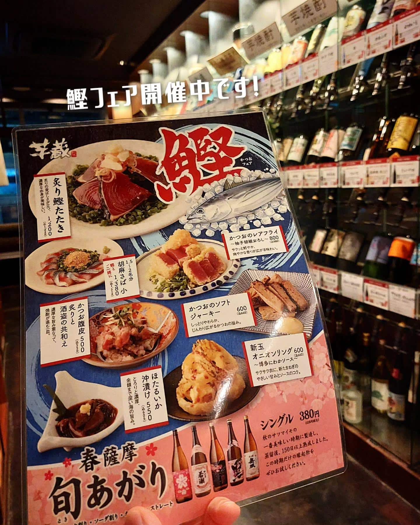 美味しい春の始まり!鰹フェア開催中です!《居酒屋/九州料理/忘年会/新年会/歓迎会/送別会/個室/もつ鍋/餃子/馬刺/芋…
