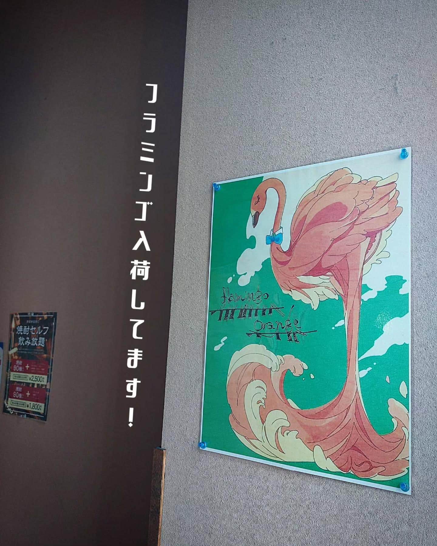 送別会、歓迎会ご予約お済みですか?二次会も当日OK《居酒屋/九州料理/忘年会/新年会/歓迎会/送別会/個室/もつ鍋/餃子…