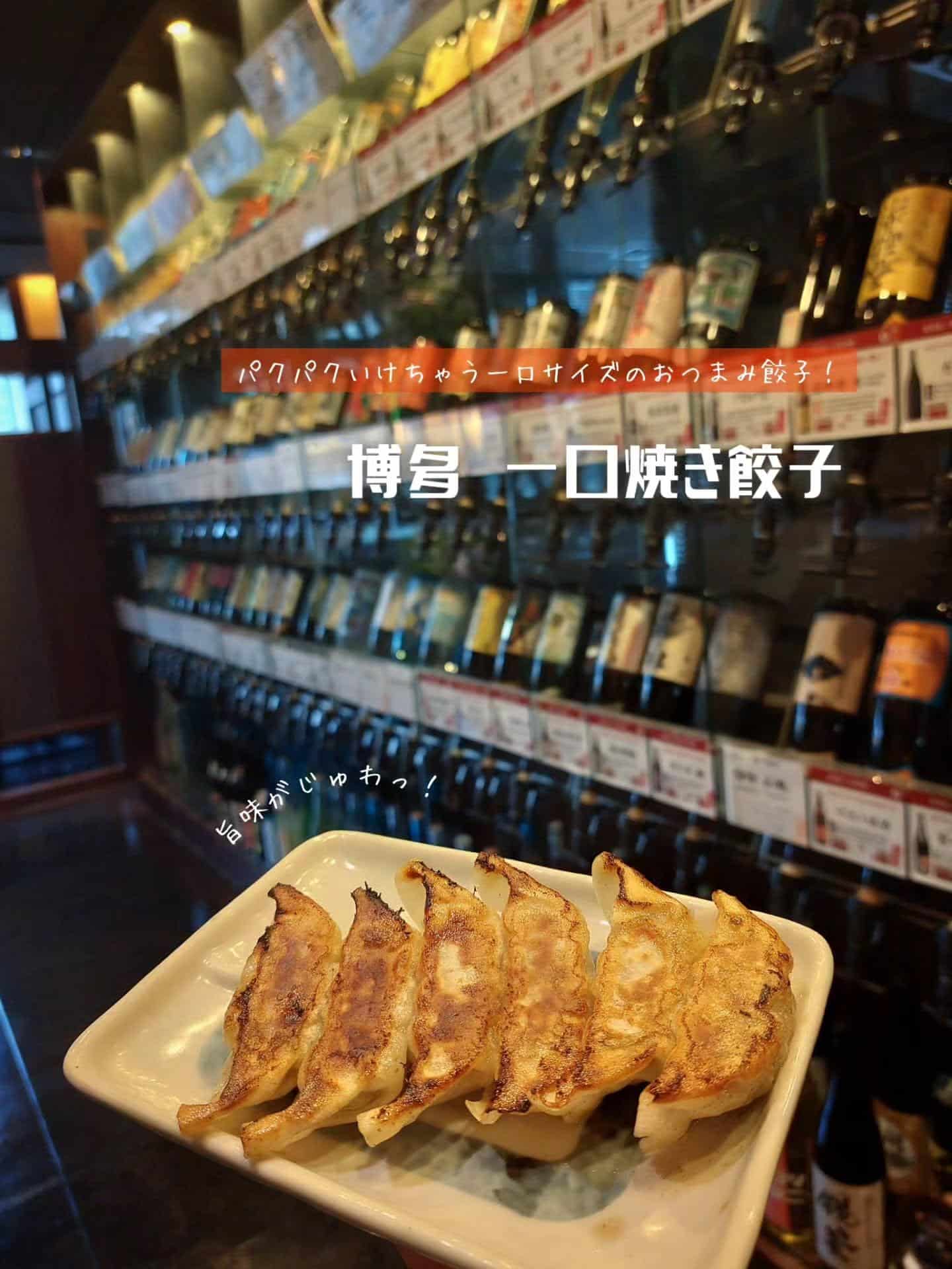一人一皿もぺろり!超人気メニューの博多一口焼き餃子《居酒屋/九州料理/忘年会/新年会/歓迎会/送別会/個室/もつ鍋/餃子…